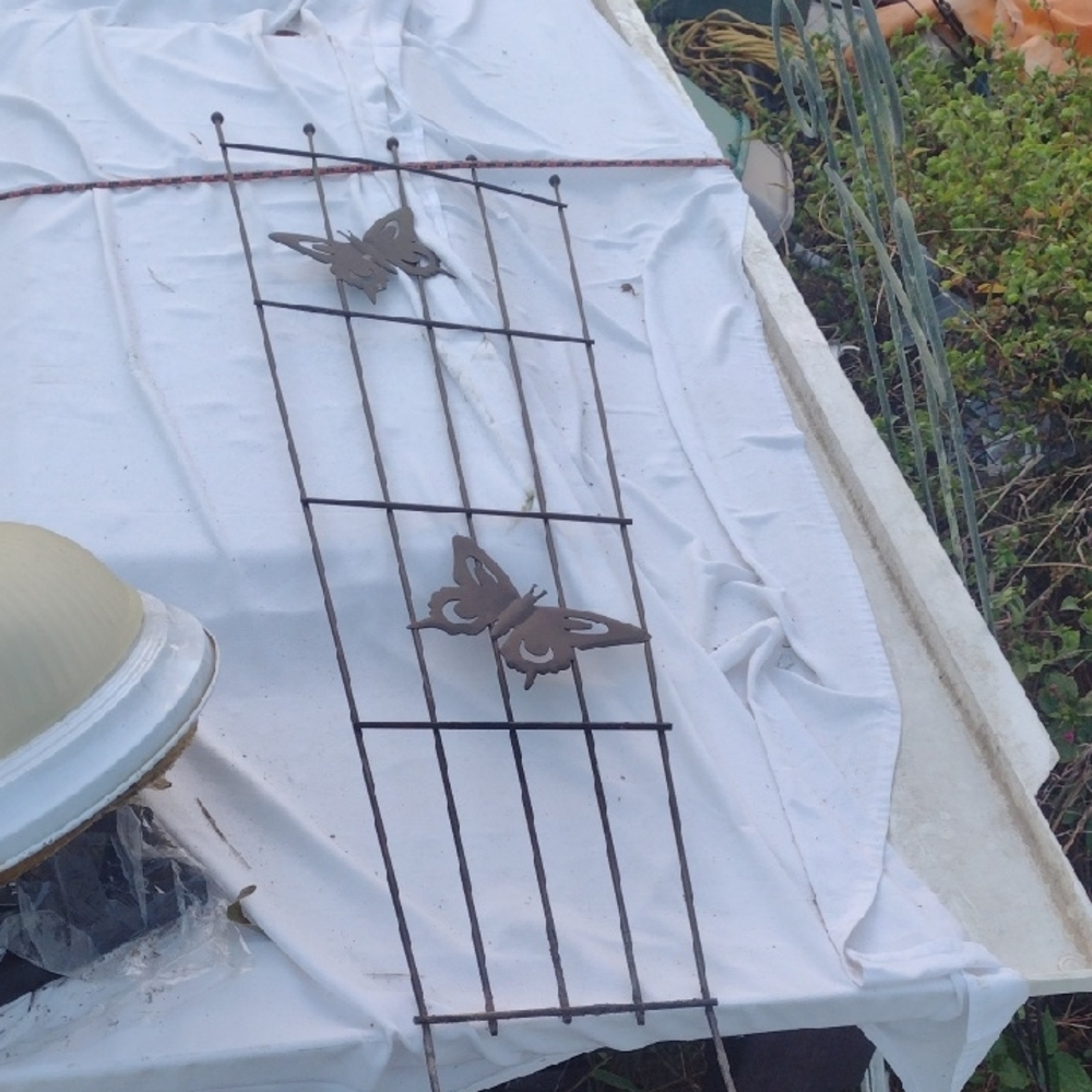 Butterfly Design Bird Trellis